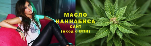 СК Алексин