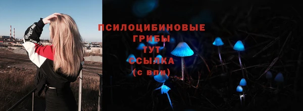 тгк Алексеевка