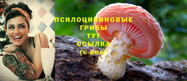 СК Алексин