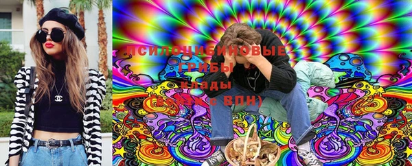 СК Алексин