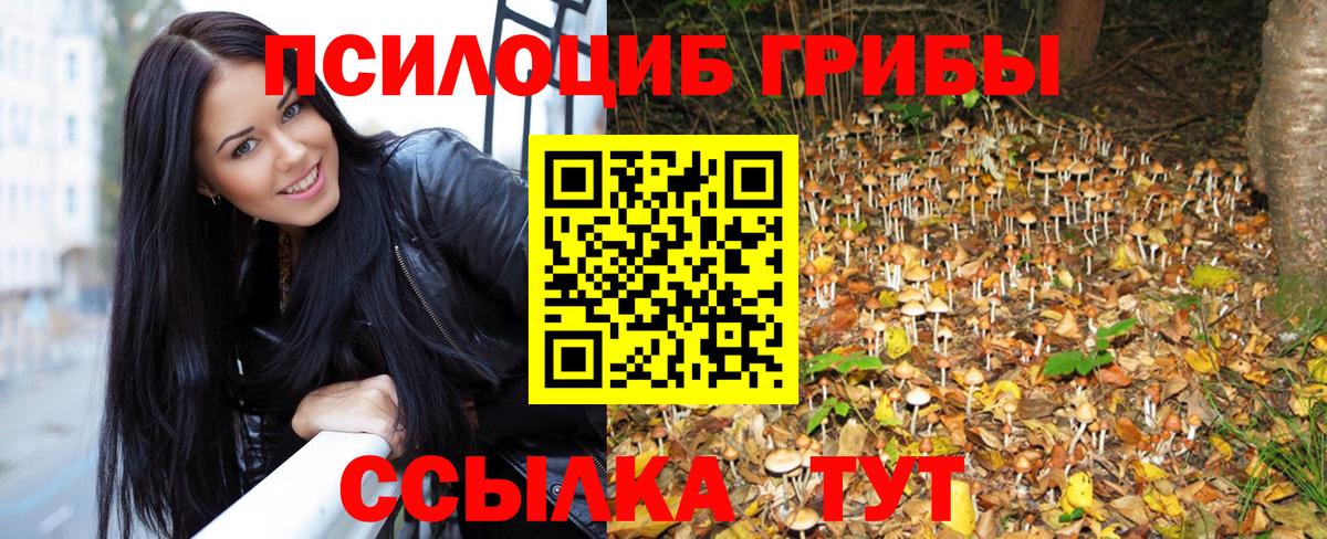 где можно купить   Псилоцибиновые грибы Cubensis  Вход с VPN  Новочеркасск 