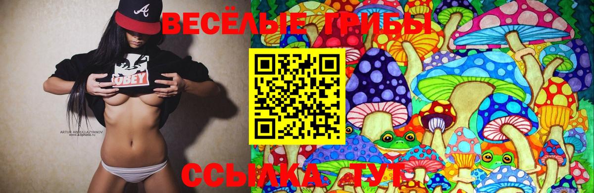 Галлюциногенные грибы Psilocybe Новочеркасск